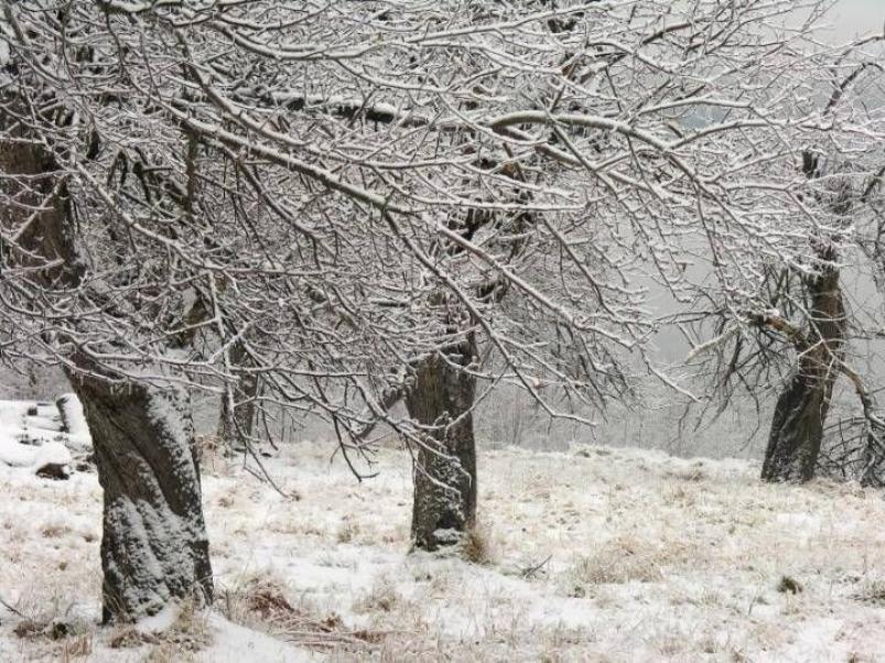 FOTOTODO INDICA ESPERA