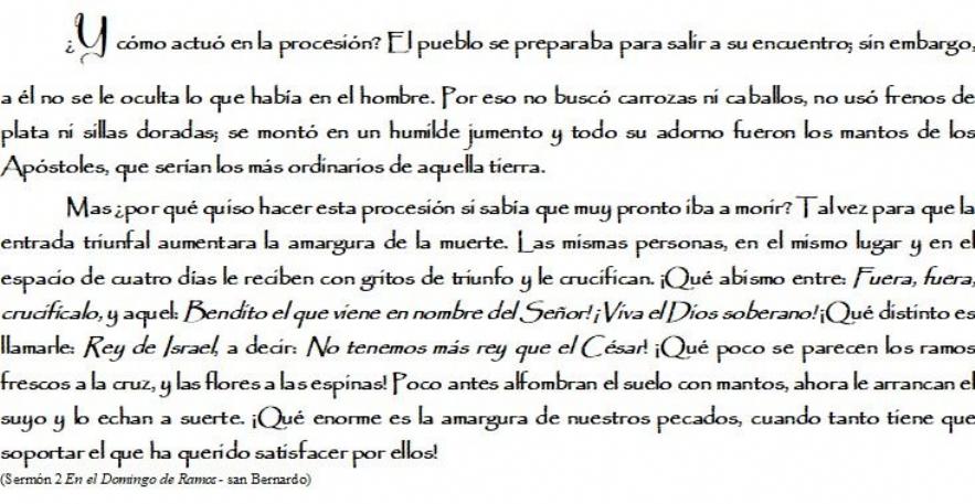 FOTOSerm�n 2- En el Domingo de Ramos, san Bernardo